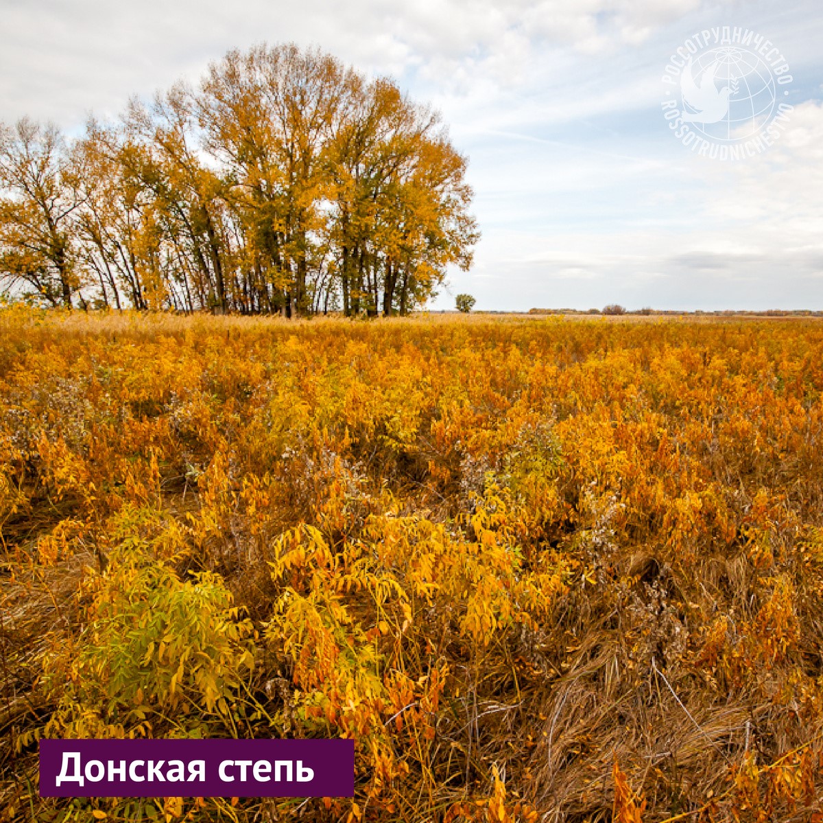Волгоградская область – это бескрайние степи, высокие речные...