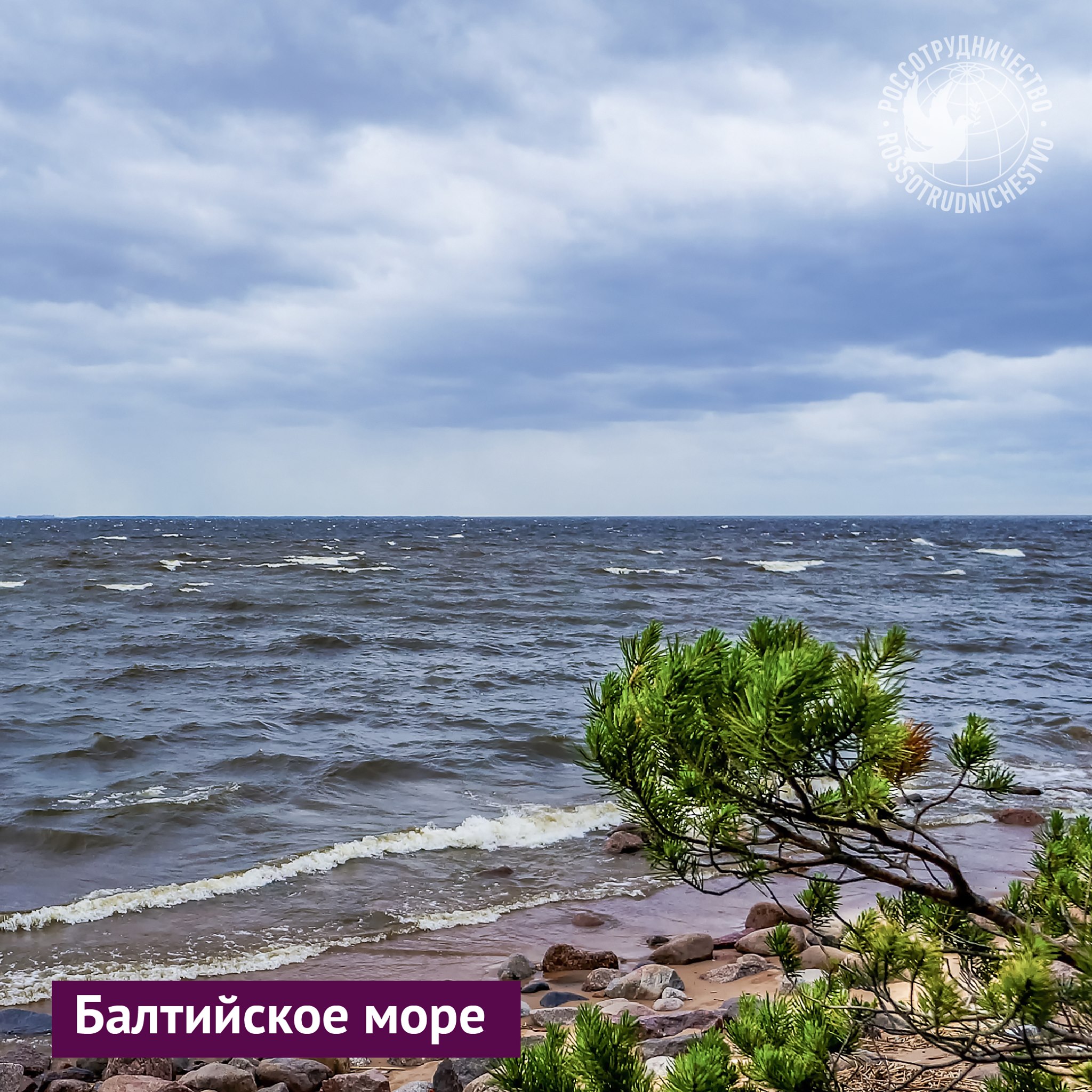 Знаете ли вы, что Россия омывается водами тринадцати морей? ...